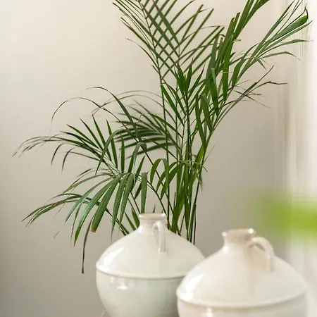 Center Elite Appartement *